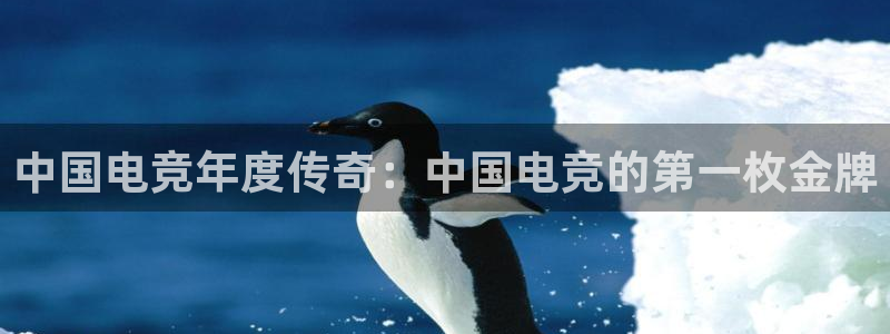 威客电竞VKGAME：中国电竞年度传奇：中国电竞的第一枚金牌