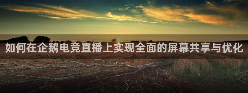 威客电竞官网：如何在企鹅电竞直播上实现全面的屏幕共享与优化