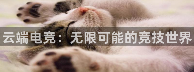 vkgame威客电竞：云端电竞：无限可能的竞技世界