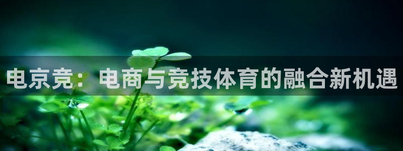 威客电竞·(中国)VKGAMING：电京竞：电商与竞技体育的融合新机遇