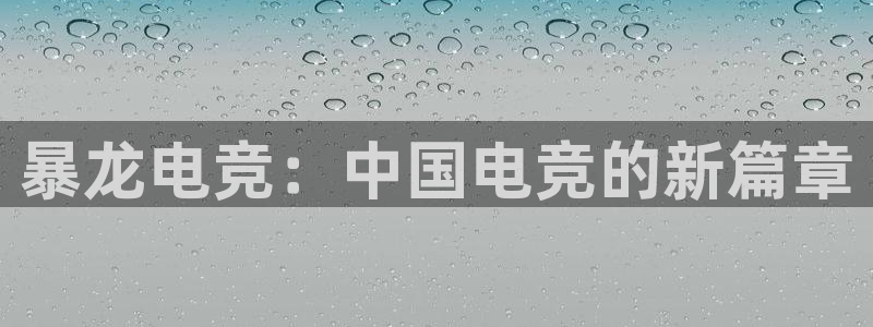 vk威客电竞：暴龙电竞：中国电竞的新篇章