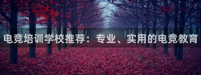 威客电竞客：电竞培训学校推荐：专业、实用的电竞教育