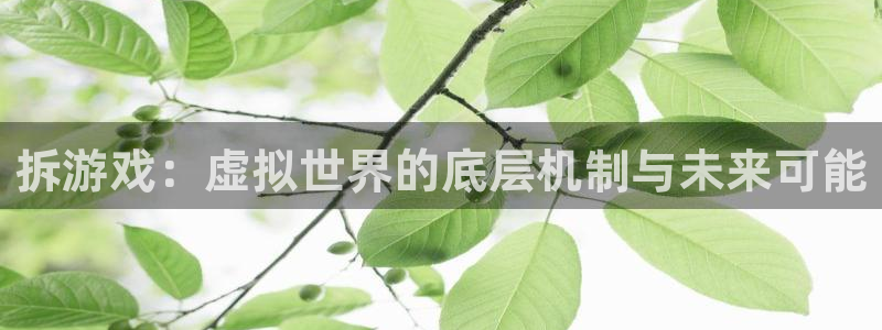 威客电竞·(中国)VKGAMING：拆游戏：虚拟世界的底层机制与未来可能