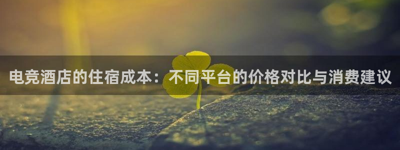 vkgame 威客电竞：电竞酒店的住宿成本：不同平台的价格对比与消费建议