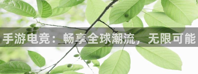 威客电竞集团：手游电竞：畅享全球潮流，无限可能