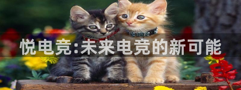威客电竞VKGAME：悦电竞:未来电竞的新可能