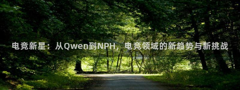 vkgame威客电竞官网：电竞新星：从Qwen到NPH，电竞领域的新趋势与新挑战