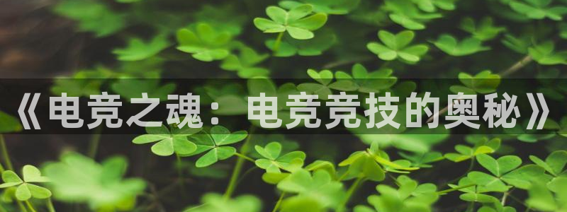 威客电竞·(中国)VKGAMING：《电竞之魂：电竞竞技的奥秘》