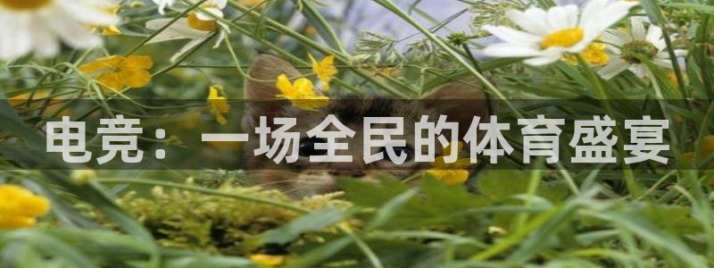 威客电竞·(中国)VKGAMING：电竞：一场全民的体育盛宴