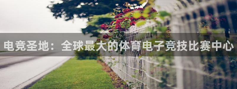威客电竞网页版入口：电竞圣地：全球最大的体育电子竞技比赛中心