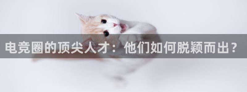 vk威客电竞：电竞圈的顶尖人才：他们如何脱颖而出？